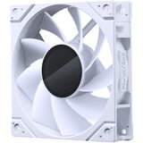 Phanteks M25G2-120 D-RGB Reverse, Ventilador blanco