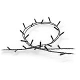 Philips Hue Hue White & Color Ambiance Festavia cadena de luces 40m, Lichterkette 