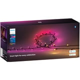 Philips Hue Hue White & Color Ambiance Festavia cadena de luces 40m, Luces de cuerda 