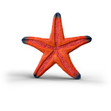 Schleich 14902, Muñecos 