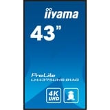 iiyama LE4341S-B2, Pantalla de gran formato negro brillante