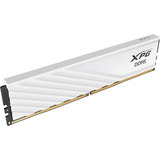 ADATA AX5U6000C3616G-SLABWH, Memoria RAM blanco