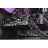 ALTERNATE AGP-SPECIAL-INT-006, Gaming-PC negro/Transparente