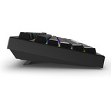 Sharkoon SKILLER SGK55W, Teclado para gaming negro