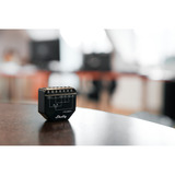 Shelly Persiana, Relé negro