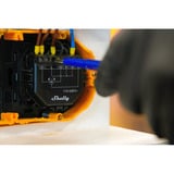 Shelly Persiana, Relé negro