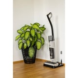 gorenje NEOCLEAN SFC216100G, Aspiradora en húmedo y en seco 