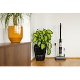 gorenje NEOCLEAN SFC216100G, Aspiradora en húmedo y en seco 