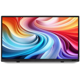Acer PM161QT, Monitor LED negro
