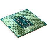Intel® Core i7-11700F procesador 2,5 GHz 16 MB Smart Cache Intel® Core™ i7, LGA 1200 (Socket H5), 14 nm, Intel, i7-11700F, 2,5 GHz, Tray