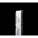 Kingston FURY KF552C40BW-32, Memoria RAM blanco