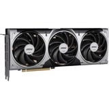 MSI V531-092R, Tarjeta gráfica 