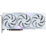 MSI V535-025R, Tarjeta gráfica 