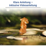 Ravensburger Disney Villainous - Ahora viene lo malo, Juego de mesa 