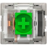 Razer RC21-02040200-R3M1, Interruptor de botón verde/Transparente