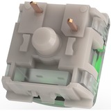 Razer RC21-02040200-R3M1, Interruptor de botón verde/Transparente