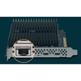 Sonnet McFiver 10GBASE-T, Tarjeta de interfaz 