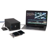 Sonnet McFiver 10GBASE-T, Tarjeta de interfaz 