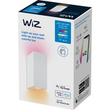 WiZ 929003210001, Luz de LED blanco