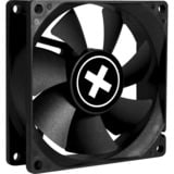 Xilence Performance C PWM Serie 80x80x25, Ventilador negro