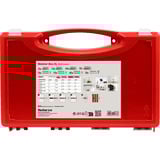 fischer Meister-Box XL Sala de estar + Tornillos, Pasador gris claro/Rojo