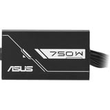 ASUS 90YE00Y0-B0NA00, Fuente de alimentación de PC negro