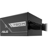ASUS 90YE00Y0-B0NA00, Fuente de alimentación de PC negro