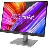 ASUS PA248CNV, Monitor LED negro/Plateado