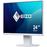 EIZO Flexscan EV2460-WT Reacondicionado, Monitor LED blanco