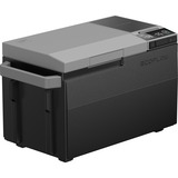EcoFlow 603188, Nevera negro/Plateado