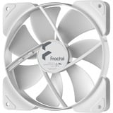 Fractal Design Aspect 14 Carcasa del ordenador Ventilador 14 cm Blanco 1 pieza(s) blanco, Ventilador, 14 cm, 1000 RPM, 19,5 dB, 41 cfm, 69,7 m³/h