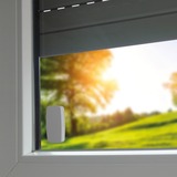 Rademacher 32210069, Sensor blanco