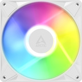 ARCTIC BioniX P14 A-RGB, Ventilador blanco/blanco
