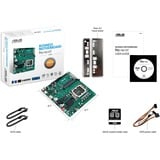 ASUS PRO H610T-CSM Intel H610 LGA 1700 Thin Mini ITX, Placa base AMD, LGA 1700, Intel® Celeron®, Intel® Core™ i3, Intel® Core™ i5, Intel® Core™ i7, Intel® Core™ i9,..., DDR5-SDRAM, 64 GB, SO-DIMM