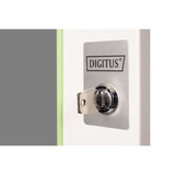 Digitus Puerta frontal de vidrio para carcasa de pared de 19" 20U serie Unique, Panel frontal gris