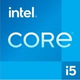 Intel® Core™ i5-13600K, Procesador Tray