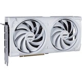 MSI V532-004R, Tarjeta gráfica 