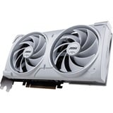 MSI V532-004R, Tarjeta gráfica 