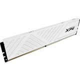 ADATA GAMMIX D35 módulo de memoria 32 GB 1 x 32 GB DDR4 288-pin DIMM, Memoria RAM blanco, 32 GB, 1 x 32 GB, DDR4, 3200 MHz, 288-pin DIMM
