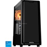 ALTERNATE WLG-INT-031, Gaming-PC negro/Transparente