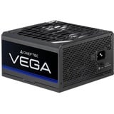 Chieftec PPG-750-S, Fuente de alimentación de PC 