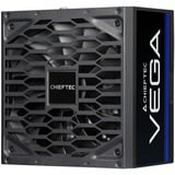 Chieftec PPG-750-S, Fuente de alimentación de PC 