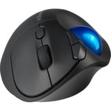 Kensington K72194WW, Trackball negro/Azul