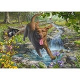 Schmidt Spiele Mark Fredrickson: Amor por los perros - paseo primaveral con Labrador Retriever, Puzzle 