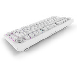 Sharkoon SKILLER SGK55W, Teclado para gaming blanco