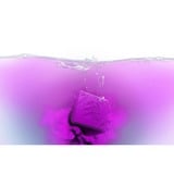 Spyra SpyraColor amarillo y lila 