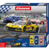 Carrera Pistas de carreras