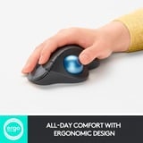 Logitech ERGO M575 for Business ratón Oficina mano derecha Bluetooth Trackball 2000 DPI grafito/Azul, mano derecha, Trackball, Bluetooth, 2000 DPI, Grafito