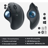 Logitech ERGO M575 for Business ratón mano derecha RF Wireless + Bluetooth Trackball 2000 DPI grafito/Azul, mano derecha, Trackball, RF Wireless + Bluetooth, 2000 DPI, Grafito