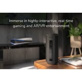 Netgear RS700S-100EUS, Router 
